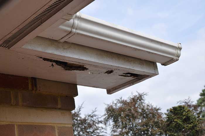 Roof Maintenance Service Roof Maintenance Service